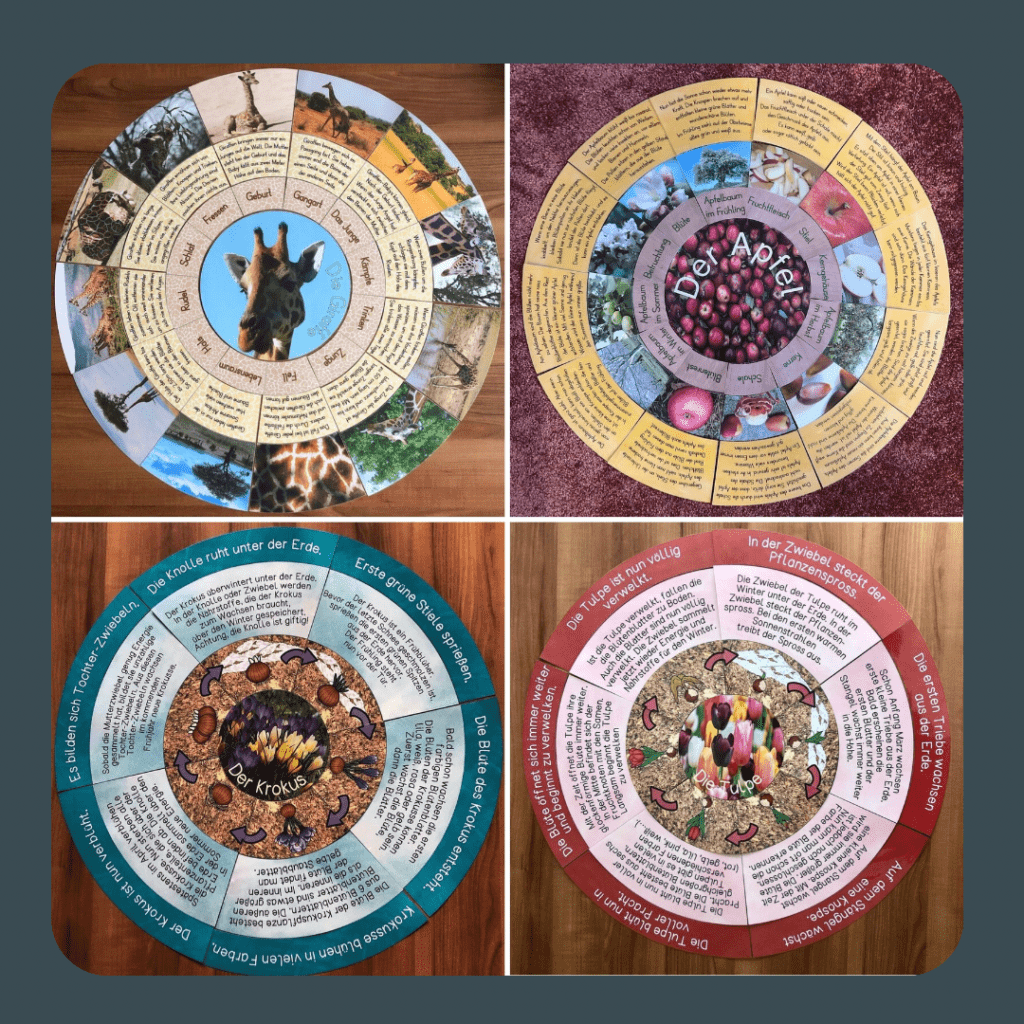 124ed15e 9718 410f 93c8 9ebbdc0d54ac