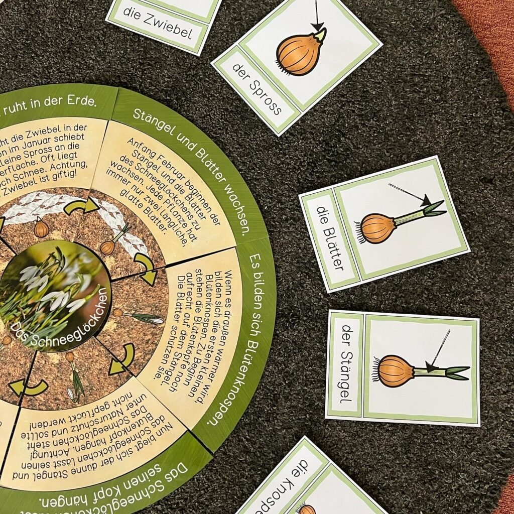 8f80d653 cbe9 4f55 acf2 21eaf73c5a55