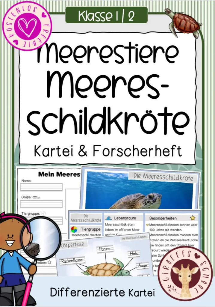 Meeresschildkröte kostenlos