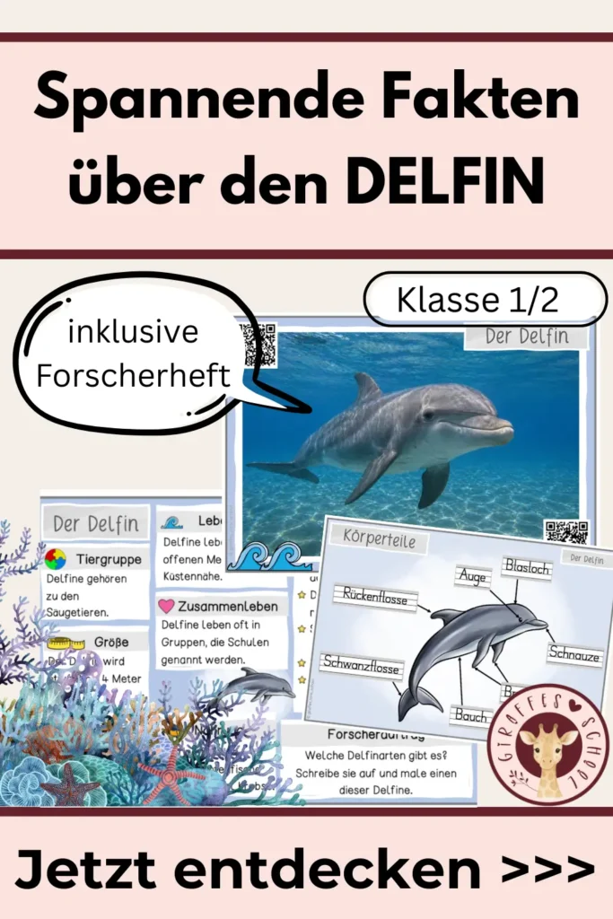 Spannende Fakten über Delfine für die Grundschule