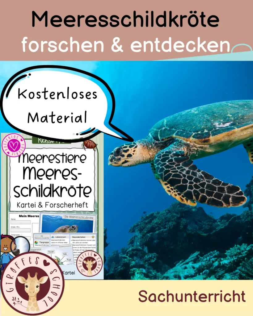 Meeresschildkröte kostenlos
