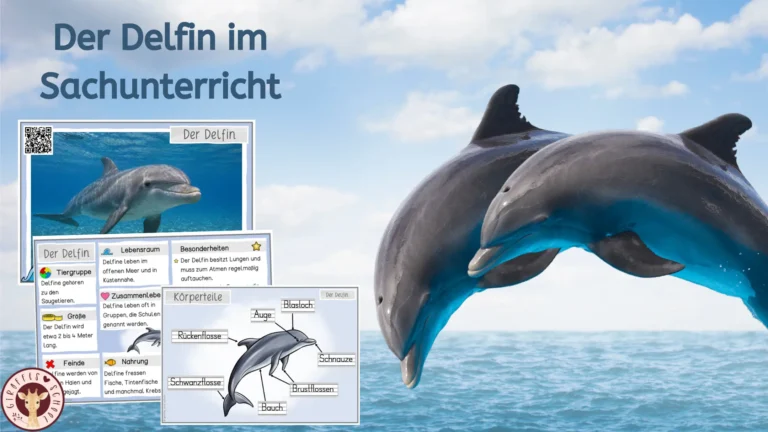Delfin im Sachunterricht der Grundschule