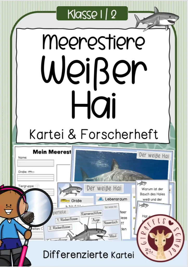 Material zum Weißen Hai für den Sachunterricht in der Grundschule