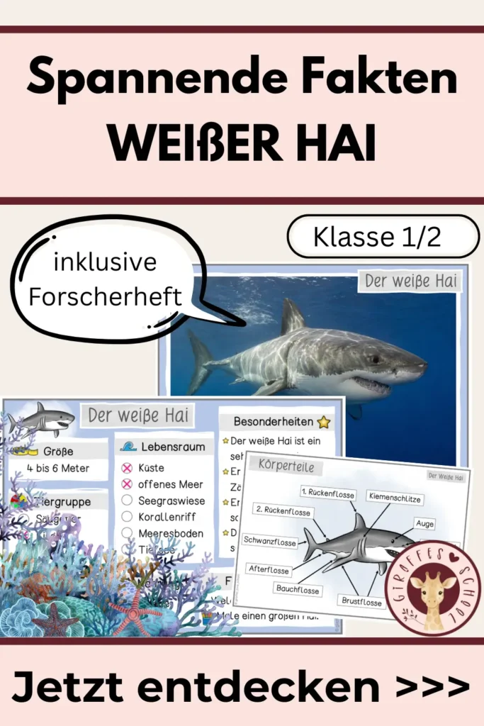 Spannende Fakten über den Weißen Hai für die Grundschule